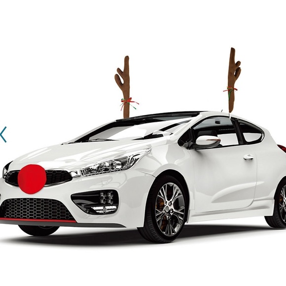 Reindeer auto decoration kit. - Picture 6 of 10